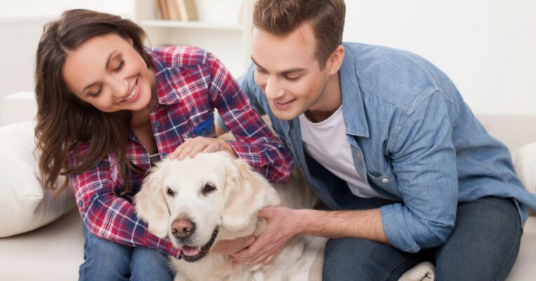 How do you deodorize a house with pets?